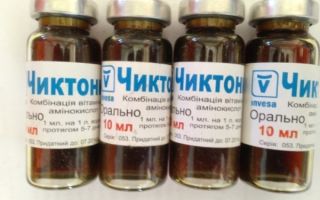 Инструкция по применению чиктоника для кроликов