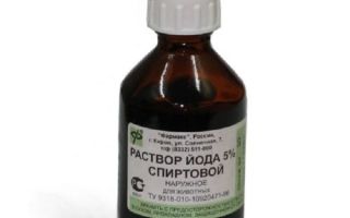 Как пропаивать кроликов йодом и в каких количествах