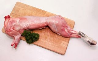 Сколько стоит мясо кролика: стоимость 1 килограмма